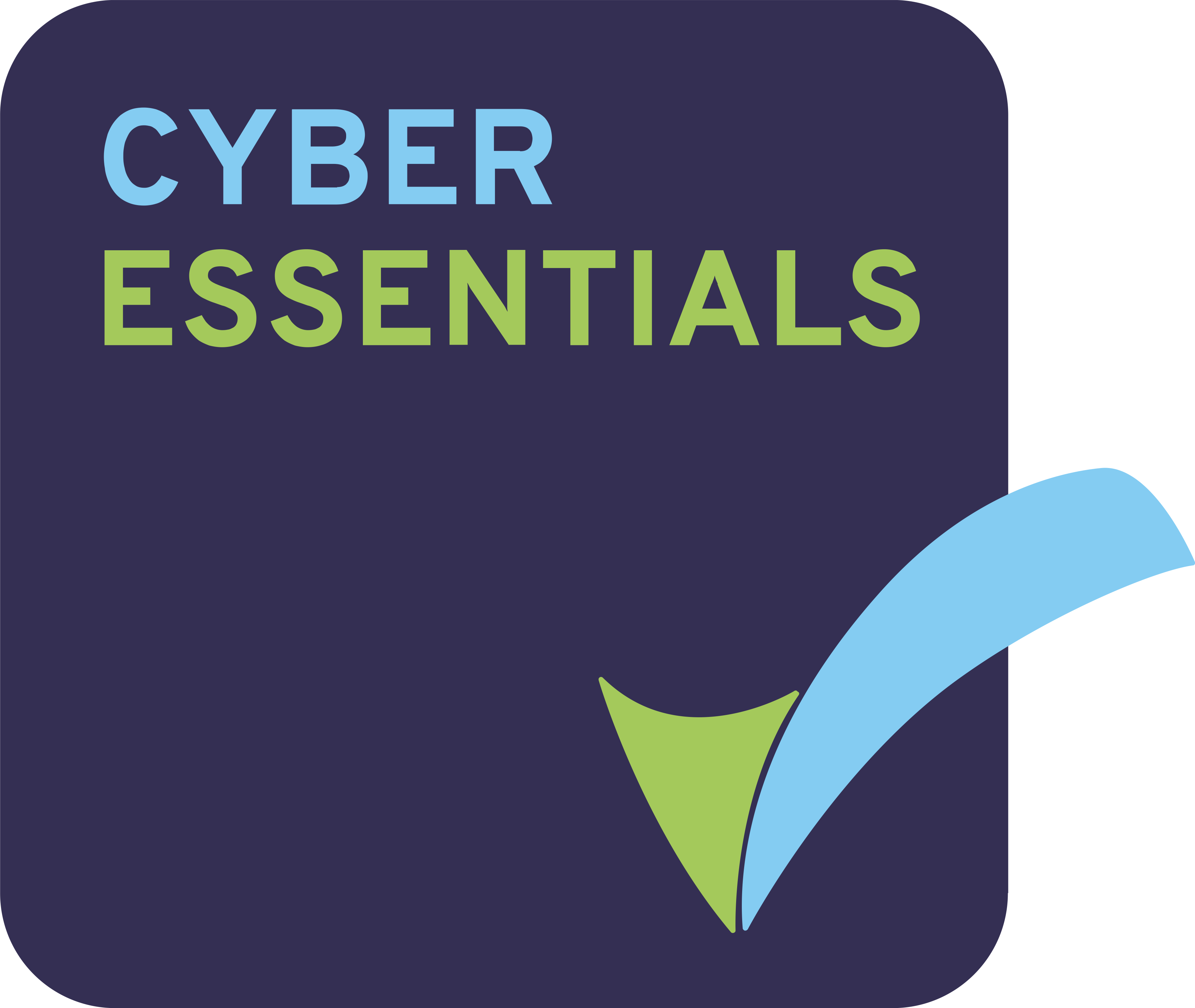 cyber-essentials-badge-high-res